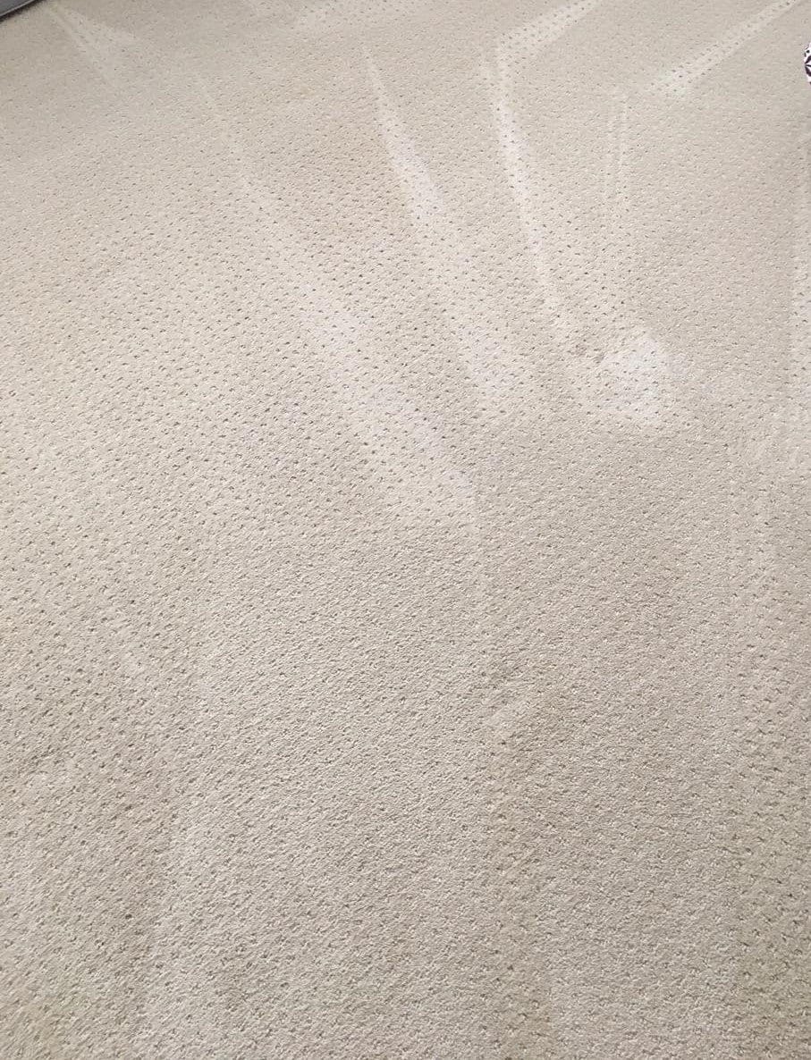 Carpet Cleaning